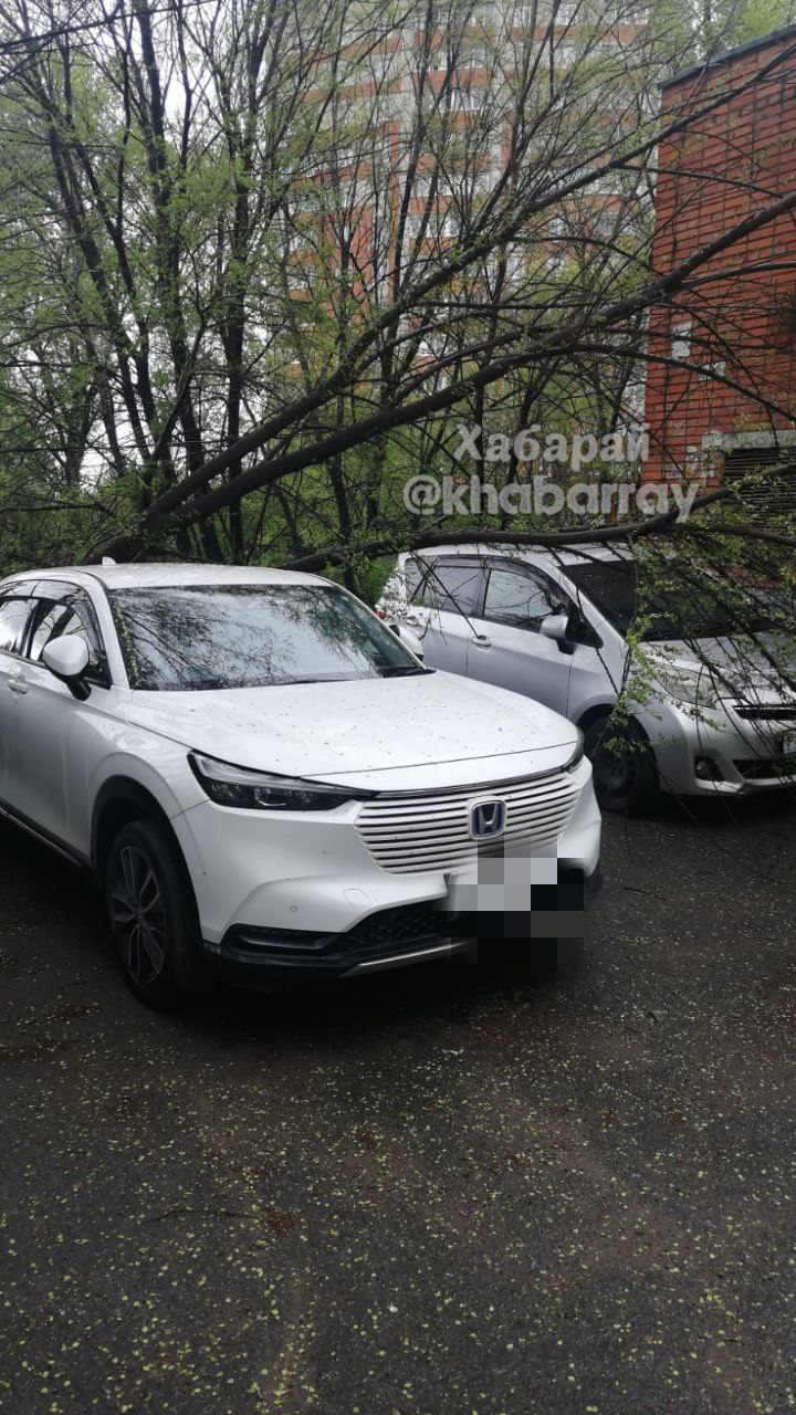 Дерево упало на автомобили Ночью в Хабаровске во дворе на Санитарной, 16 дерево упало на два припаркованных автомобиля, у одного разбито заднее стекло. За фото спасибо нашему подписчику. Подписаться Прислать новость