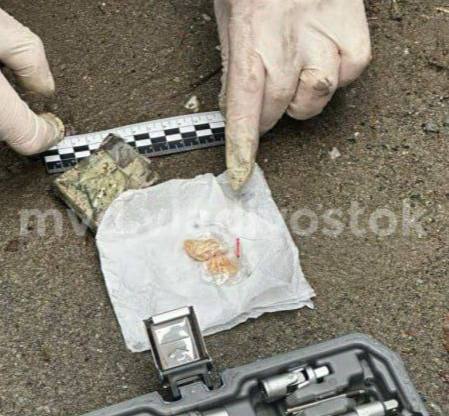 Во Владивостоке задержали водителя Prius с карфентанилом в тайниках машины Во Владивостоке оперативники отдела по контролю за оборотом наркотиков задержали 28 летнего местного жителя передвигавшегося на Toyota Prius Полицейские получили информацию о возможном хранении запрещённых веществ и остановили автомобиль для проверки В скрытых полостях машины они обнаружили партию карфентанила криминалисты подтвердили что масса наркотика составляет 2 08 грамма На мужчину завели уголовное дело по тяжёлой статье о приготовлении к сбыту за которую предусмотрено вплоть до пожизненного лишения свободы Суд отправил фигуранта под стражу а полиция продолжает искать других участников возможной группы РОЗЫГРЫШ СЕРТИФИКАТОВ Подписывайтесь на NEWSVL