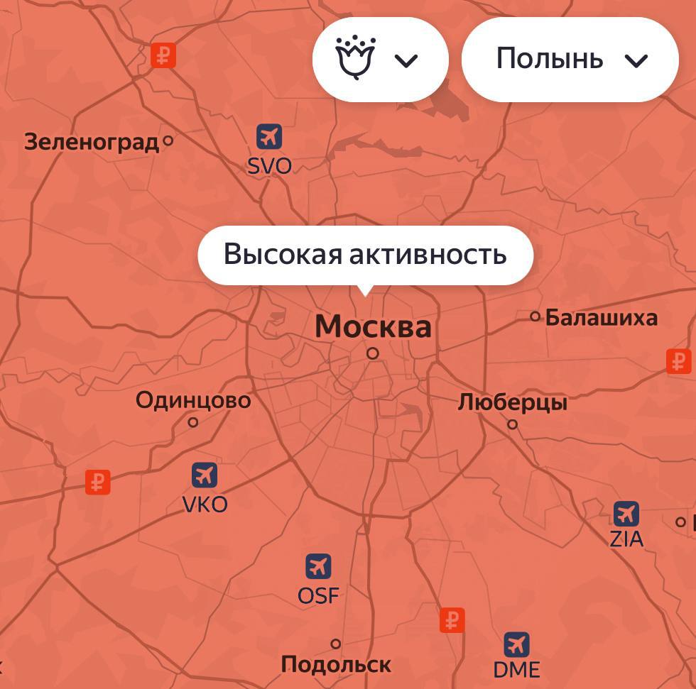 Из-за жары в Москве высокая концентрация пыльцы злаков, полыни и сорняков в воздухе.  Аллергики, держитесь!