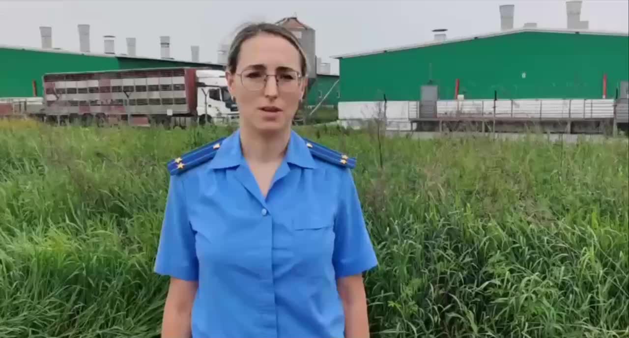 Трагедия на свинокомплексе в Красноярском крае: три работника погибли