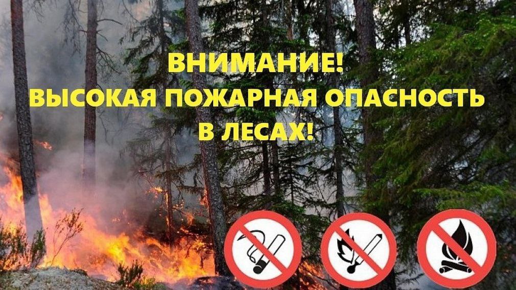 Штормовое предупреждение. 28-29 мая в Оймяконском, 29-30 мая в Верхнеколымском районах ожидается установление высокого IV класса пожароопасности леса по летней шкале. Гидрометцентр ФГБУ "Якутское УГМС".
