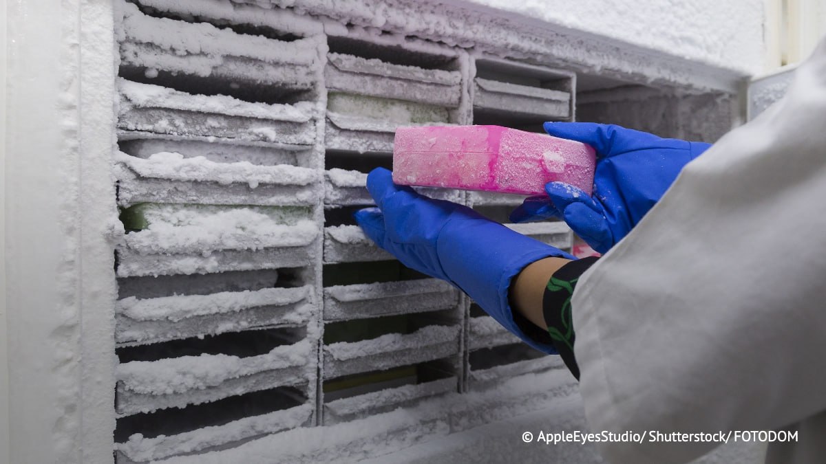 Разработана система электрического удаления льда со стеклянных и металлических поверхностей сообщила пресс служба VT Ученые использовали набор медных электродов и источник высокого напряжения Новый метод позволит снизить расходы химикатов и энергии на защиту самолетов и автомобильных стекол от обледенения Подпишись на ТАСС Наука