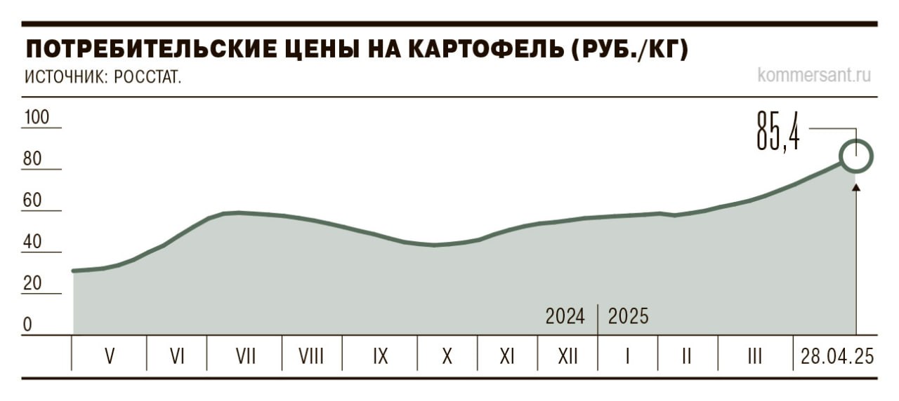 Сезон уборки картошки — проблема вселенского масштаба, на поля приходилось посылать административный штат. Падение урожая и дефицит посевных площадей привели к сокращению запасов картофеля в России: его оптовая стоимость с начала года выросла более чем на 85%, до 46,3 руб. За кг, к прошлой весне — в 4,4 раза, а розничные цены год к году увеличились в 2,8 раза. Вслед за оптовым звеном поднимает стоимость и розница: на конец апреля цена картофеля на полках достигла 85,4 руб. за 1 кг, что почти в три раза выше аналогичного показателя прошлого года. В Минсельхозе «Ъ» пояснили, что с учетом сокращения внутреннего производства министерство инициировало меры таможенно-тарифного регулирования. Подписывайтесь на «Ъ» Оставляйте «бусты»