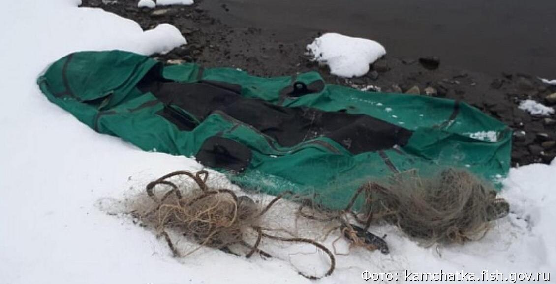 За новогодние праздники на камчатских водоёмах поймали 15 браконьеров За время новогодних праздников инспекторы рыбоохраны выявили на водоёмах Камчатки 15 правонарушений За этот же период с нарушителей взыскали штрафов на 62 тысячи рублей Нажмите для подробностей   kam24 ru news main 20260113 124400 html utm source telegram utm medium messenger