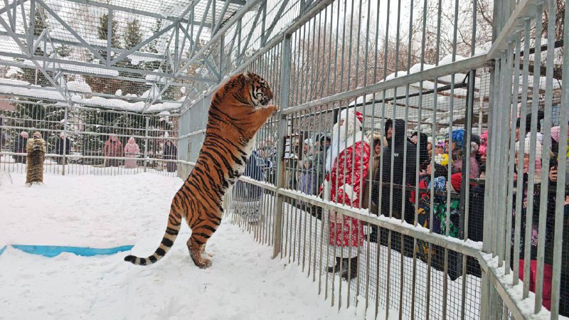Барнаульцы со звериными фамилиями смогут бесплатно посетить зоопарк Акция пройдет 11 января Также в этот день в 14 00 сотрудники парка проведут экскурсию Для участия в акции нужно будет предъявить паспорт kudaGo22