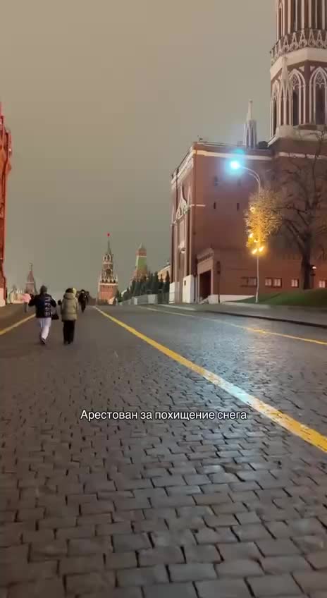 Гринч задержан на Красной площади за похищение снега