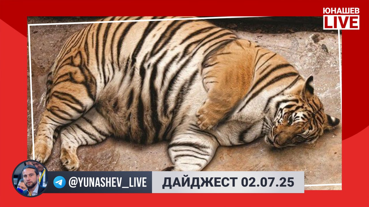 Дайджест середины недели. Не тратьте много времени на новости — всё важное я уже собрал в одном месте.   Эльвира Набиуллина сделала большое заявление о состоянии экономики России. Она подчеркнула, что высокая ключевая ставка «возникла не из воздуха, это не каприз Центрального банка. Это неизбежная реакция на дефицит физических ресурсов, в том числе рабочей силы». При этом она отметила, что адаптация экономики к внешним ограничениям завершилась, хотя структурные сдвиги в виде внедрения ИИ, цифровизации и других продолжают испытывать нас на прочность. Так мы с банками и бизнесом не поняли: снижение ставки-то будет?   МИД предупредил, что гражданам России при посещении Азербайджана нужно учитывать «нынешнюю обстановку». Также внешнеполитическое ведомство призывает Баку принять меры по «возвращению отношений стран к уровню стратегического союзничества». Тем временем Посольство РФ в Азербайджане сообщило о массовых жалобах россиян. Неизвестные личности подходят к нашим соотечественникам, интересуются целью пребывания в стране и проверяют документы.    Адыгее, Алтайскому и Ставропольскому краю списали долги по бюджетным кредитам суммой более 15 миллиардов рублей. Это первый этап выполнения поручения президента — всего регионам будет списано две трети задолженности. А можно физическим лицам так же?   И безоговорочно хорошие новости: угрозу вымирания амурского тигра в России устранили. Цель по сохранению популяции достигнута: в 2013 году она составляла порядка 430 особей, а сейчас уже 750.