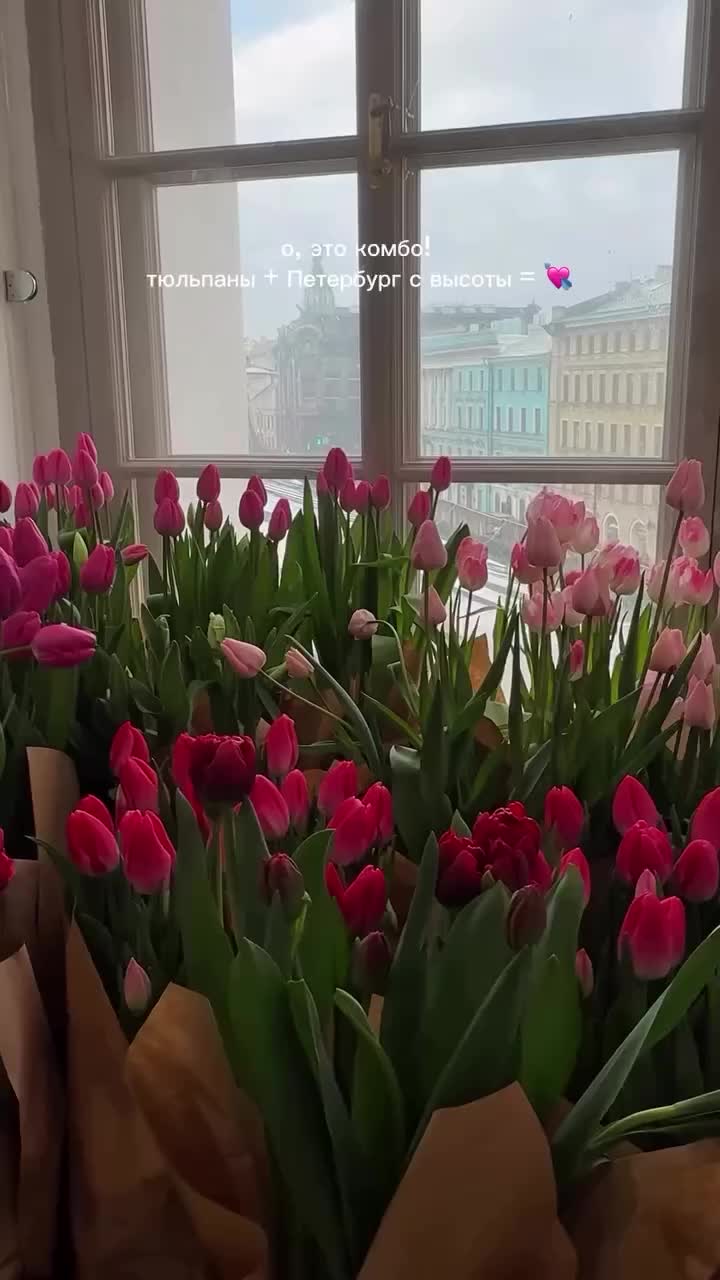 Фестиваль тюльпанов 'Весна на высоте' стартует в Думской башне 27 февраля