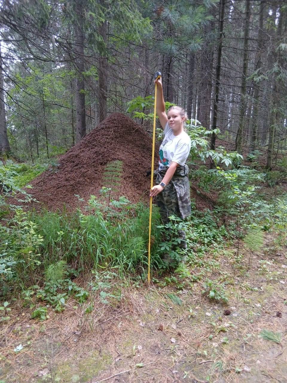 Муравейник из ХМАО вошел в книгу рекордов России. Он находится в природном парке «Самаровский чугас», его высота — около двух метров, а длина превышает четыре метра. Рекорд подтвержден экспертами Международной Книги Рекордов INTERRECORD и внесен в реестр Книги рекордов России, сообщили в официальной группе парка. Представители заповедника сообщили, что вокруг гигантского муравейника установили ограждение, чтобы обеспечить его сохранность. Природный объект уже привлек внимание экологов, туристов и научных работников, которые планируют продолжить изучение этого феномена.