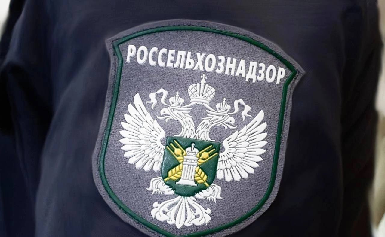 По материалам Россельхознадзора с предприятия взыскано более 8 миллионов рублей за нарушения земельного законодательства В июле 2023 года инспектор Управления Россельхознадзора по Амурской области и Республике Саха Якутия провёл выездное обследование земельного участка сельскохозяйственного назначения расположенного на территории Белогорского района Амурской области По итогам мероприятия установлено что на участке площадью 8 7 га находящемся в собственности общества с ограниченной ответственностью выявлена несанкционированная свалка Подробнее в нашем пресс релизе rsnamur