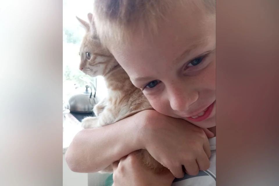 Мальчик из Сочи, покусанный хаски, получил новый нос 9-летний Валя Королев перенес очередную сложную операцию. Врачи восстановили ему нос, которого не осталось после нападения собаки. Кожу для новой части лица взяли со лба — это было единственное место, не тронутое укусами. Там несколько месяцев растягивали кожу, а потом использовали её и костную ткань для реконструкции. Операция прошла успешно. Вечером Валя уже играл на ноутбуке. Но впереди — еще минимум две пластики. Врачи будут восстанавливать губу и корректировать шрамы.