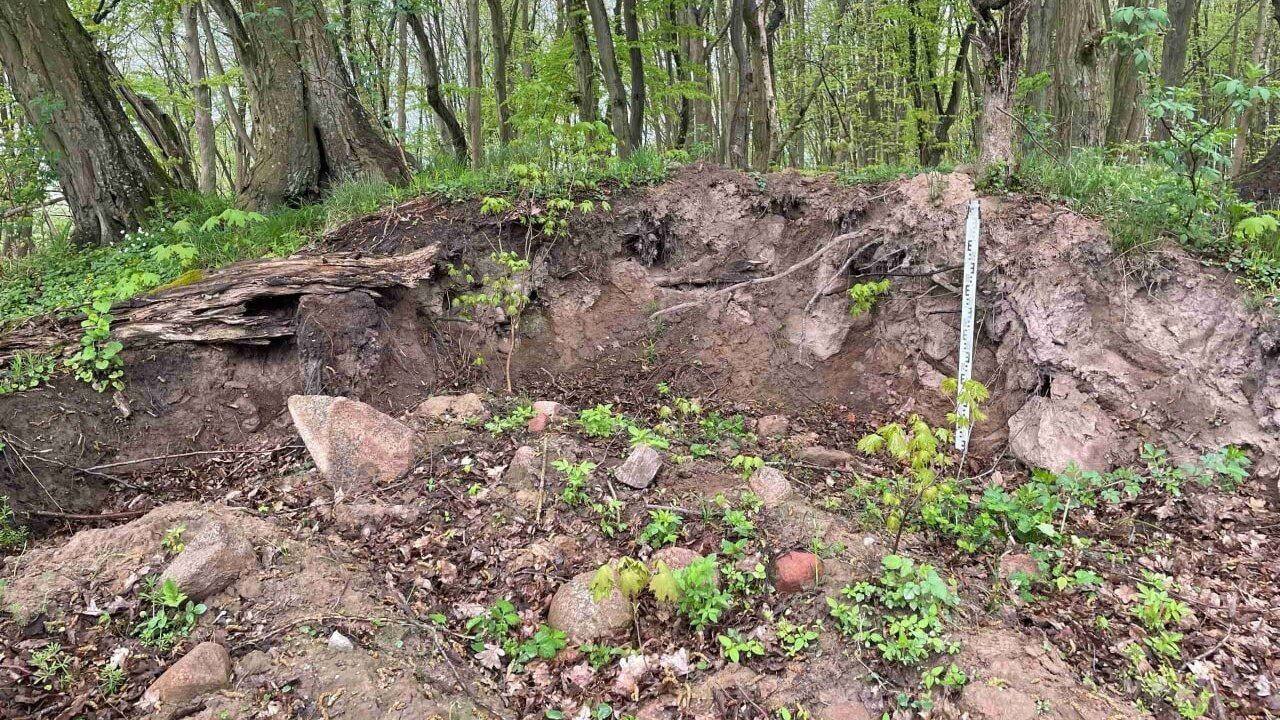 В посёлке Круглово вандалы откопали старинную могилу. Неизвестные разрыли объект археологического наследия — «Курганный могильник Круглово-1», который датируется приблизительно 4 веком до н.э. Это уголовное преступление, за которое можно получить до 6 лет лишения свободы. Подписаться Прислать новости