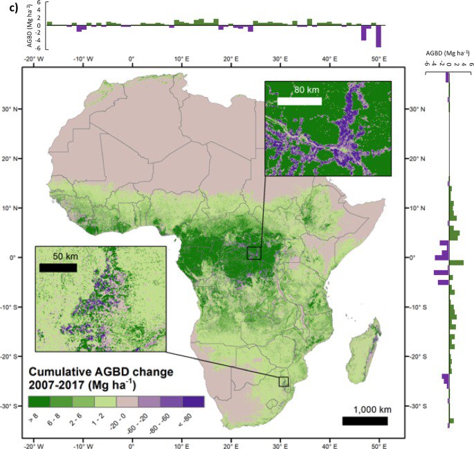Леса Африки ключевые в глобальном углеродном цикле перестали поглощать СО2 Они стали источником оксида углерода Причина в вырубке влажных тропических лесов сообщают исследователи изучившие спутниковые карты надземной биомассы в африканских биомах и национальные кадастровые карты за период 2007 2017 гг  Оказалось за 2007 2010 гг прирост надземной биомассы составил 439 Тг год тераграммов в год За 2010 2015 гг биомасса сократилась на 132 Тг год За 2015 2017 гг сокращение составило 41 Тг год Профессор Heiko Balzter из University of Leicester Это тревожный сигнал для глобальной климатической политики Если леса Африки больше не поглощают углерод это означает что другим регионам и миру в целом придется еще сильнее сократить выбросы парниковых газов чтобы уложиться в цель Парижского соглашения по ограничению глобального потепления двумя градусами и избежать катастрофических изменений климата ПОДРОБНОСТИ в материале на сайте ВООП   Рис www nature com