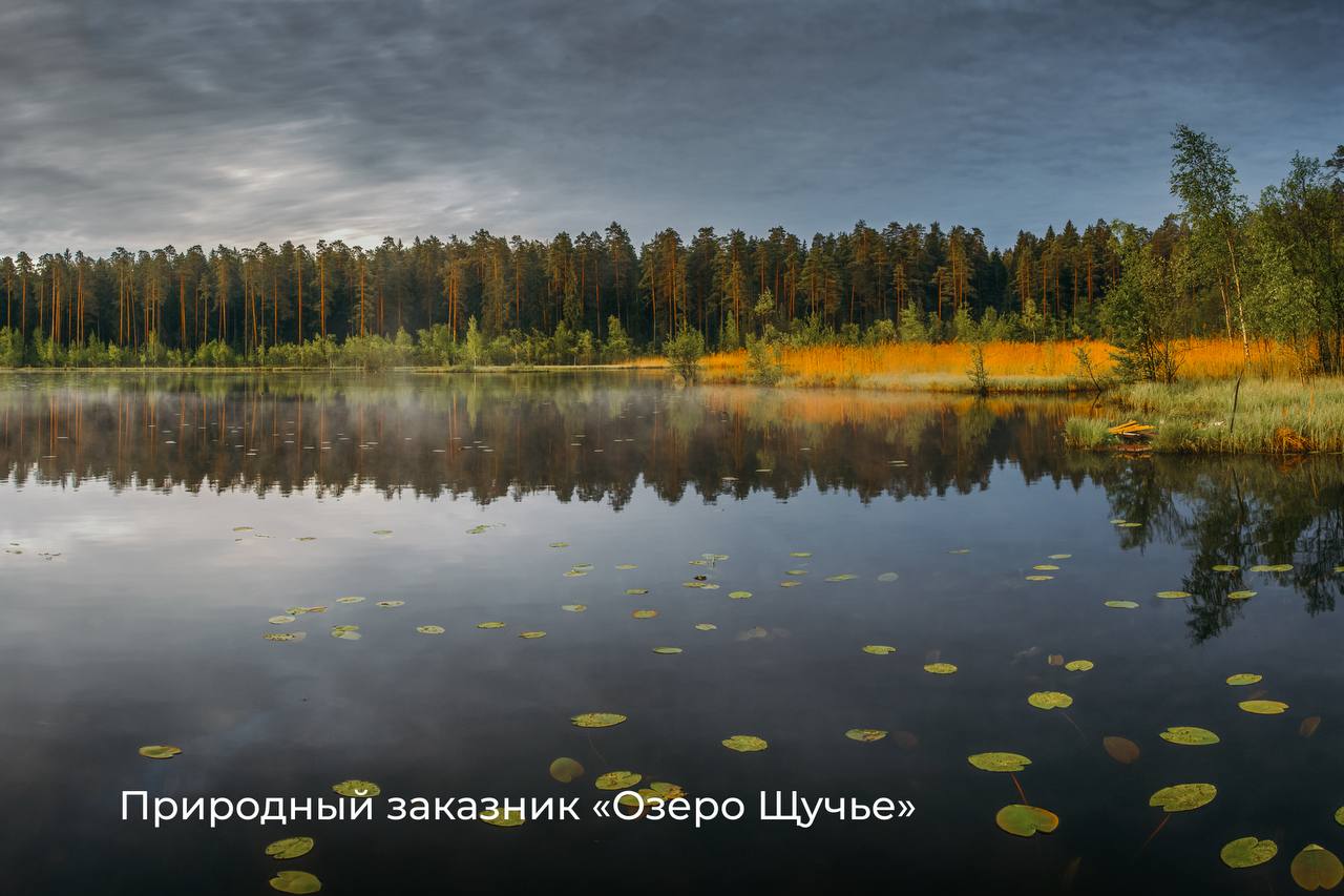 С губернатором Ленинградской области Александром Дрозденко обсудили вопросы экологии нашей агломерации. Расширяем зелёный пояс вокруг Петербурга со 108 до 172 тысяч гектаров. Создаём совместный экомаршрут – «Озёрная тропа». Его длина превысит 40 километров. Маршрут соединит девять озёр, а также несколько заповедных территорий. Участвуем в реализации нового президентского нацпроекта «Экологическое благополучие». Это даст возможность привлечь федеральное софинансирование и приступить к оздоровлению рек, озёр и каналов Балтийской водной системы. Будем совместно добиваться включения Ладоги в новый федеральный проект. Это позволит соединить федеральные ресурсы и возможности регионов Северо-Запада для поддержания экологического баланса в бассейне Ладожского озера.