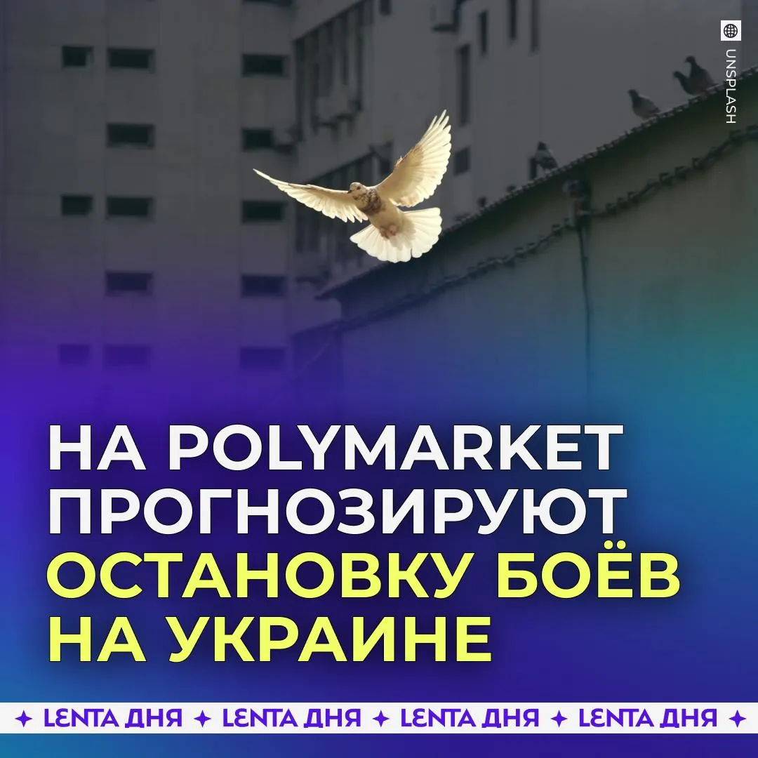 Вероятность скорого завершения СВО резко взлетела Оценку шанса на прекращение огня между Россией и Украиной в течение июня и до конца 2026 года повысилась до 100 на популярной платформе для прогнозов Polymarket Ещё недавно она не превышала 5 Что думаете хоть бы это оказалось правдой просто что то напутали Подпишись на Ленту дня в МАКС