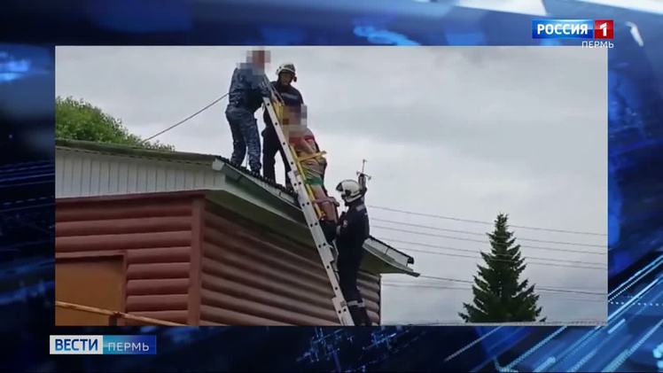 В Кунгуре спасатели сняли с крыши человека в неадекватном состоянии    В Кунгуре пришлось снимать с крыши человека в неадекватном состоянии. Инцидент произошел на ул. Молодежной. Прибывшие на вызов сотрудники службы спасения сначала пытались уговорить мужчину спуститься, но тот делать этого не желал. Пришлось применить силовой захват. Обездвиженного дебошира привязали к носилкам и с помощью альпинистского снаряжения и стремянки спустили на землю, где передали врачам скорой помощи и судебным приставам.