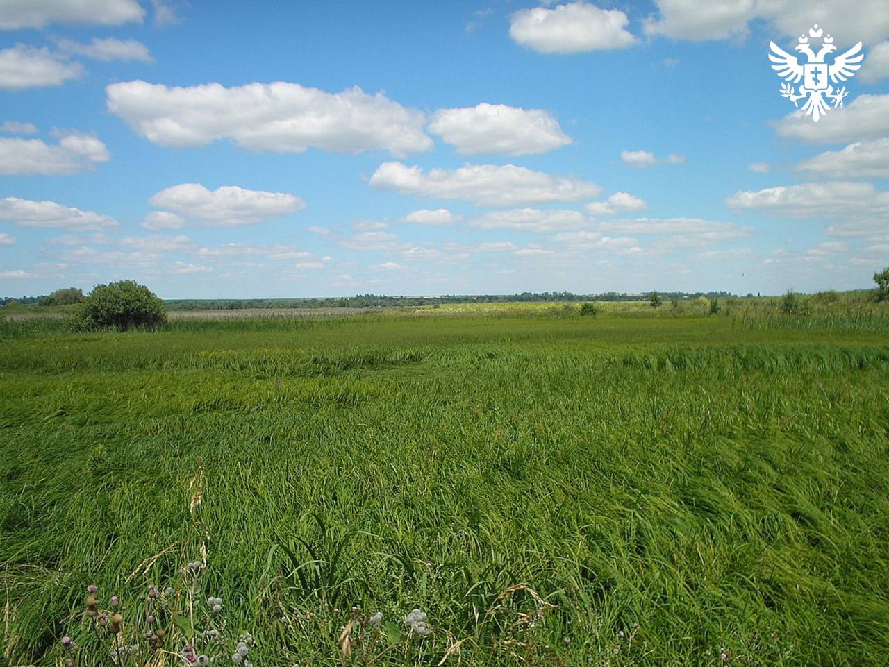 Земельный банк новых регионов вырос вдвое За год земельный банк в Донбассе и на территориях Новороссии увеличился в два раза и достиг 703 участков Их вовлечение в хозяйственный оборот способствует решению жилищных вопросов и созданию современной инфраструктуры Каждый участок обеспечен необходимой документацией определены границы зафиксированы проходящие коммуникации и разработаны градостроительные планы Полная информационная готовность делает эти территории привлекательными для инвесторов и позволяет оперативно запускать новые проекты Общая площадь земельных участков в банке порядка 5 305 8 га Их градостроительный потенциал составляет 25 3 млн квадратных метров сообщают в Правительстве РФ Системная работа с земельным фондом направлена на комплексное развитие территорий Это позволяет создавать инфраструктуру нового качества и в итоге способствует достижению национальной цели формированию комфортной и безопасной среды для жизни граждан Сайт ВК ОК MAX Администрация Херсонская область VGA Kherson SALDO VGA