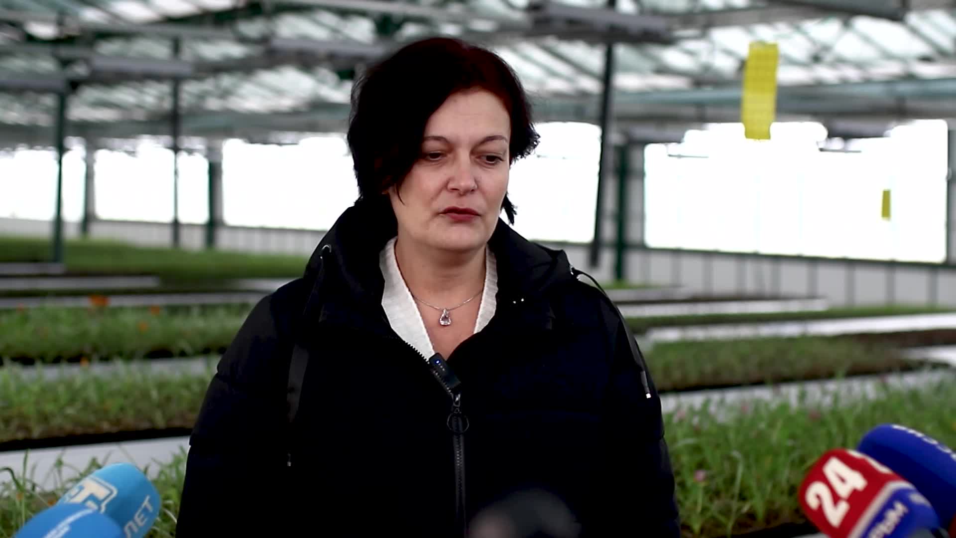 Весеннее цветение: Казань и Симферополь готовятся к высадке миллионов цветов