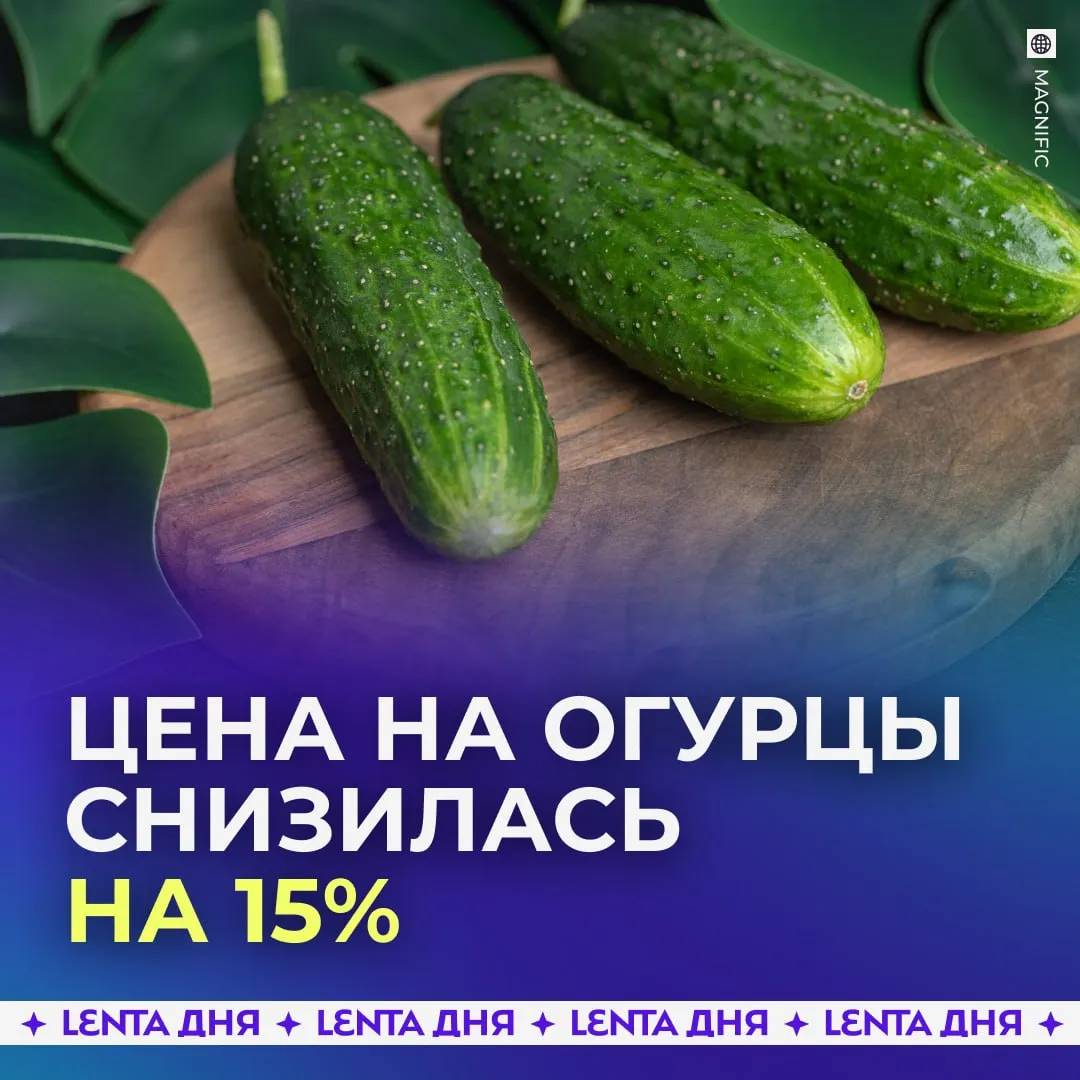 Огурцы стали самым подешевевшим продуктом апреля в России За месяц цены на огурцы снизились примерно на 15 Сейчас килограмм в среднем стоит около 194 рублей что даже ниже прошлогодних показателей Немного дешевле также стали помидоры и бананы Эксперты связывают снижение цен с ростом предложения на рынке Заметили снижение цены   Подпишись на Ленту дня в МАКС