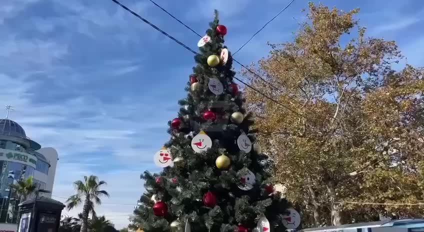 В Сочи установлена первая новогодняя елка