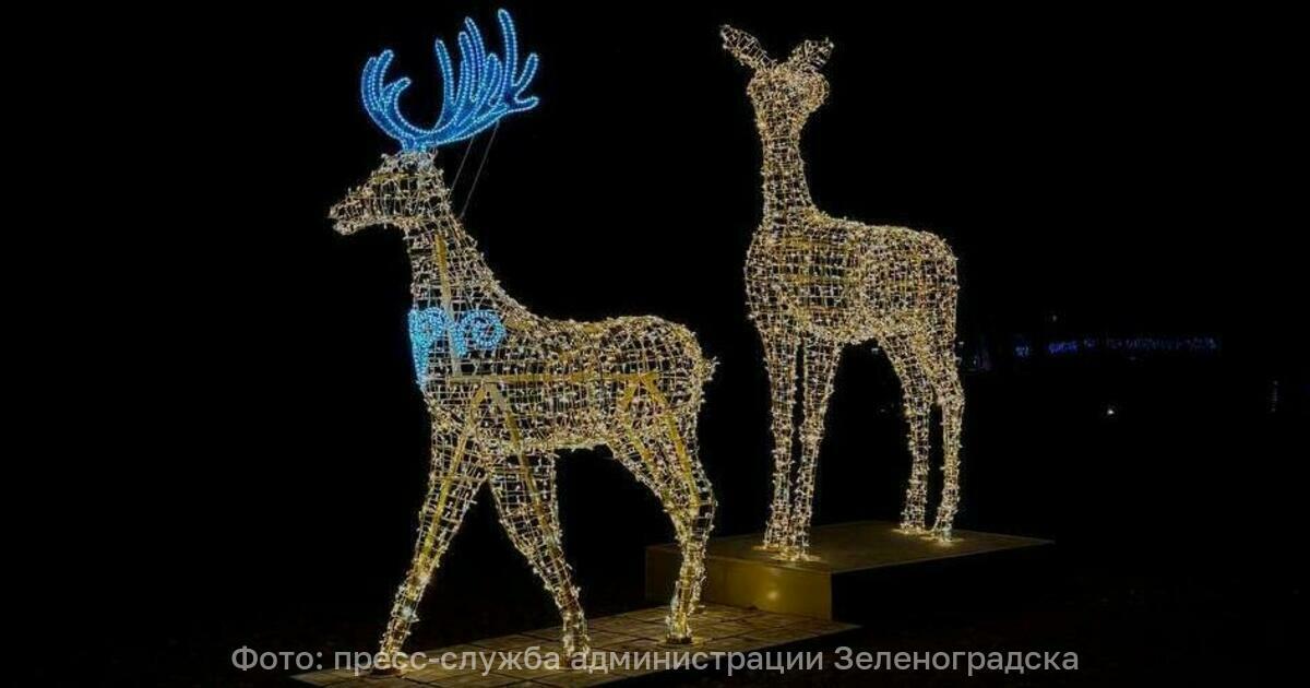В Зеленоградске появились светящиеся олени высотой 4 5 м В городском парке Зеленоградска установили светящиеся фигуры оленей Об этом сообщили в администрации муниципалитета Высота декоративной композиции 4 5 м Власти города предлагают использовать в качестве оригинальной фотозоны Рядом с прогулочной дорожкой теперь пасутся сияющие олени ставшие частью праздничной прогулки Каждый год количество достопримечательностей в рамках новогоднего маршрута в Зеленоградске растёт и вот теперь очередная яркая достопримечательность привлекает гостей города в парк отметили в муниципалитете