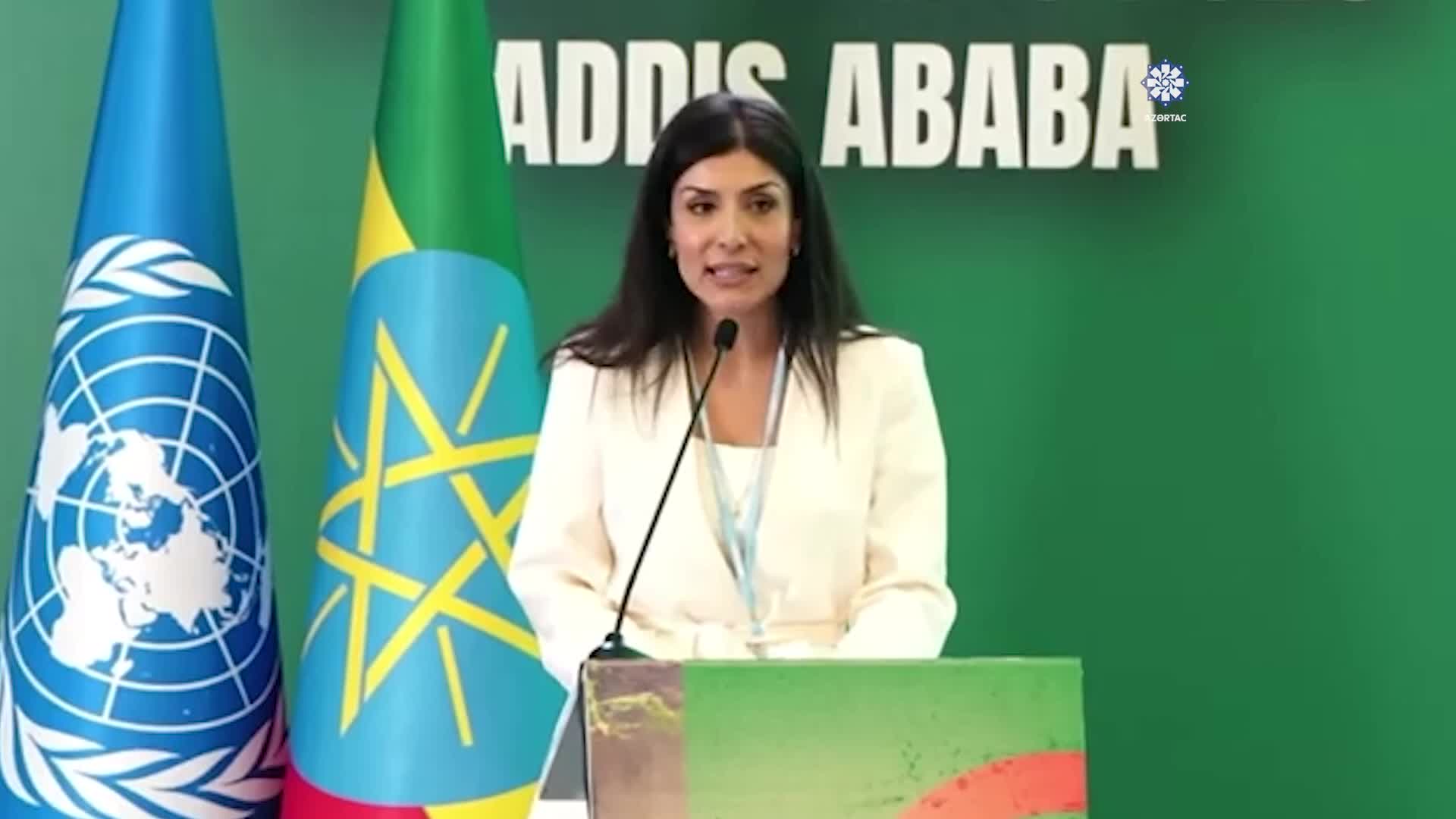 Неделя климата стартовала в Аддис Абебе с акцентом на решения COP29