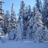 Аватар Телеграм канала: Земля Сибири