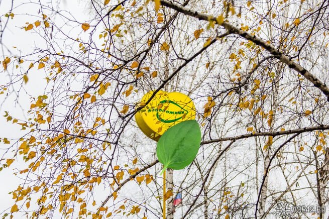 Подорожник всё в Кемерове ликвидируют легендарный фастфуд Легендарный Подорожник закрывается в Кузбассе и Новосибирской области на что указывают теперь уже бывшие работники сети а также посетители внезапно столкнувшиеся с отсутствием продуктов в торговых точках Советская площадь дня нет привоза кофейня без кофе жалуется новокузнечанин Из Кемерова поступают аналогичные сообщения Телефон горячей линии Подорожника не работает Как передает НДН Инфо со ссылкой на уволенных работниц персонал начали принуждать уходить по собственному ещё в декабре при этом расчётные выплачены далеко не всем Экс работниц якобы поставили в очередь на выплаты и процесс растянулся на месяцы А накануне с торговых точек начали вывозить оборудование Также сообщается что в Топках закрыли завод по производству одноимённых бутербродов Одна из собеседниц издания считает что закрывается фастфуд из за повышения НДС с 20 до 22 а также ужесточения налогов теперь организации у которых оборот больше 20 млн рублей в год вынуждены платить налог на добавленную стоимость Кроме того растут акцизы на алкоголь     Подписаться на VSE42 Ru