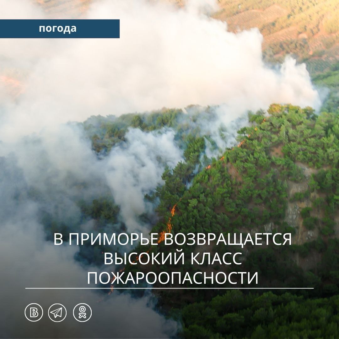 Предупреждение о неблагоприятном явлении 4 высокий класс пожарной опасности леса объявлено в Приморье В период 28 — 30 мая в южной половине Приморского края местами ожидается 4 высокий класс пожарной опасности в лесах по метеоусловиям Уссурийский ГО, Октябрьский, Ханкайский и Кавалеровский МО .