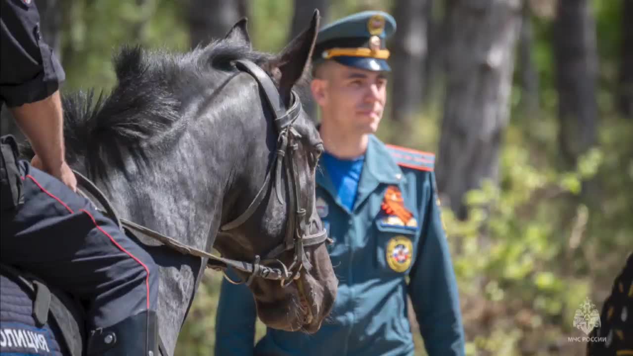 В Севастополе проходят рейды по профилактике лесных пожаров