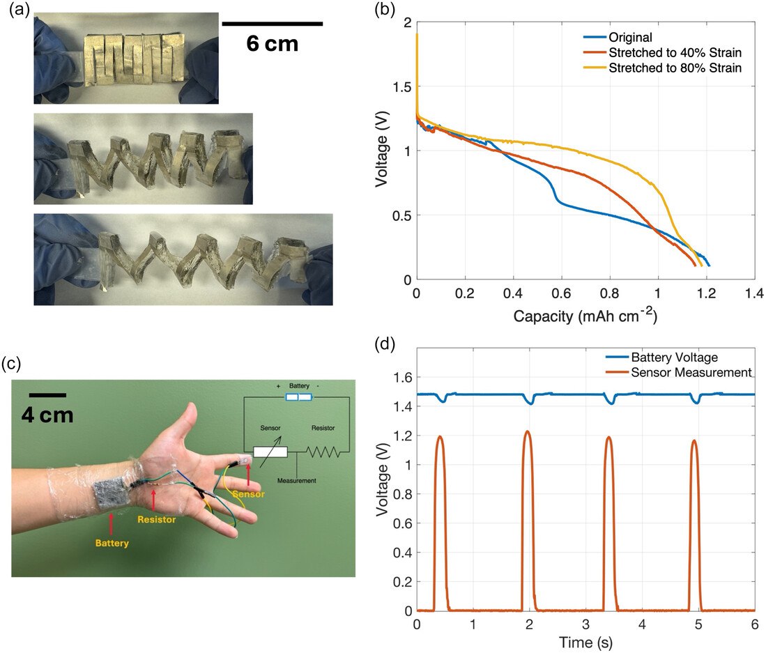 Желатиновый аккумулятор изгибается на 80 Исследователи из Тротье Института устойчивого развития в инженерии и дизайне Университета Макгилла разработали гибкую и экологически чистую батарею которая растягивается и естественным образом разлагается в окружающей среде В основе разработки лежат желатин и природные кислоты лимонная и молочная Они заменяют токсичные тяжёлые металлы в электродах обычных батарей Ключевым прорывом стало преодоление главной проблемы магниевых батарей образования слоя блокирующего реакцию Кислоты в составе геля эффективно разрушают этот барьер значительно повышая напряжение и срок службы Для придания гибкости электролит на основе желатина и кислот был вырезан по технике киригами Это позволило батарее растягиваться до 80 без потери производительности В ходе испытаний батарея выдающая около 1 3 вольта успешно питала тактильный датчик закреплённый на пальце Этого напряжения достаточно для работы носимой электроники и медицинских имплантатов