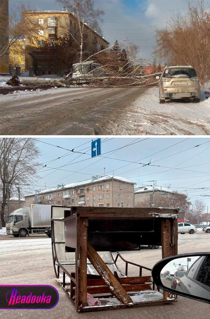 Снежный буран настиг Новосибирскую область — ветер сносит бетонные стены и с корнями вырывает деревья   Еще один регион стал сегодня свидетелем непогоды — в Новосибирской области бушует снежный буран, который успел напугать жителей. Практически нулевая видимость провоцирует ДТП на дорогах — движение на местных трассах для грузовиков и общественного транспорта ограничено. Бушующий ветер кошмарит жителей, срывая крыши с домов, опрокидывая балконные рамы и даже бетонные стены. Буря валит деревья прямо с корнями.  Новосибирцы боятся за свое здоровье, в некоторых домах шатаются плиты. Шквалистый ветер передвигает по улицам прилавки для торговли и мусорные баки. В некоторых населенных пунктах Новосибирской области зафиксированы аварийные отключения электроснабжения из-за непогоды. О пострадавших от урагана не сообщается, но несколько человек попали в ДТП. Городские службы приступили к оперативному устранению последствий.