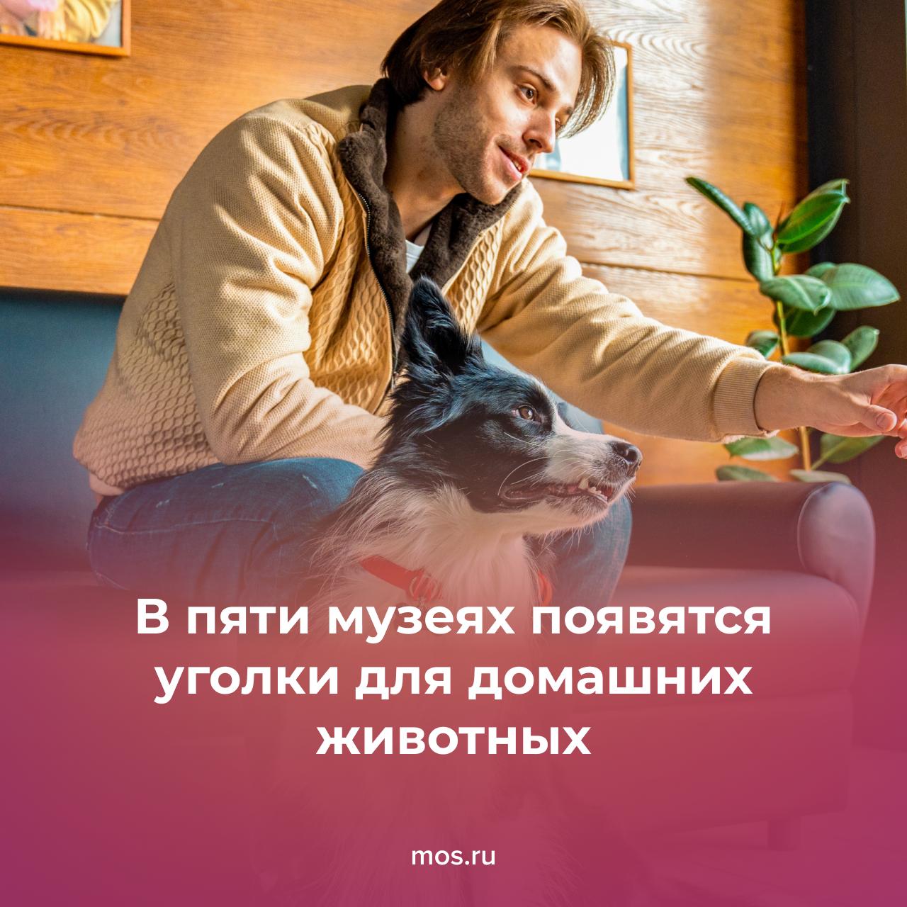 Специальные уголки для домашних животных появятся в пяти столичных музеях В них разместят все для комфорта питомцев включая лежанки миски с водой лакомства Вы сможете посещать культурные площадки вместе со своими любимцами В пилотную программу вошли Музей Москвы Московский музей современного искусства Музей Николая Островского объединение Выставочные залы Москвы Московский государственный музей С А Есенина Каждая площадка определяет собственные правила посещения с животными например ограничения по размеру обязательное использование поводка или переноски В перспективе к проекту смогут присоединиться и другие музеи столицы