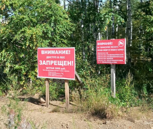 В городских лесах Улан-Удэ продлили запрет на посещение В связи с этим временно ограничено пребывание людей и въезд транспортных средств. - В лесах и на прилегающих территориях запрещено: разведение костров; проведение пожароопасных работ с использованием открытого огня; сжигание порубочных остатков, мусора, сухой травы и бытовых отходов; сельхозпалы; приготовление пищи на открытом огне и углях. Исключения составят лишь работы по охране лесов от пожаров, их воспроизводству и уходу за ними, аварийно-спасательные работы, - сообщили в администрации города.#Бурятия Подробнее в "Номер один" Сообщить нам свою новость можно по кнопке: Письмо в редакцию