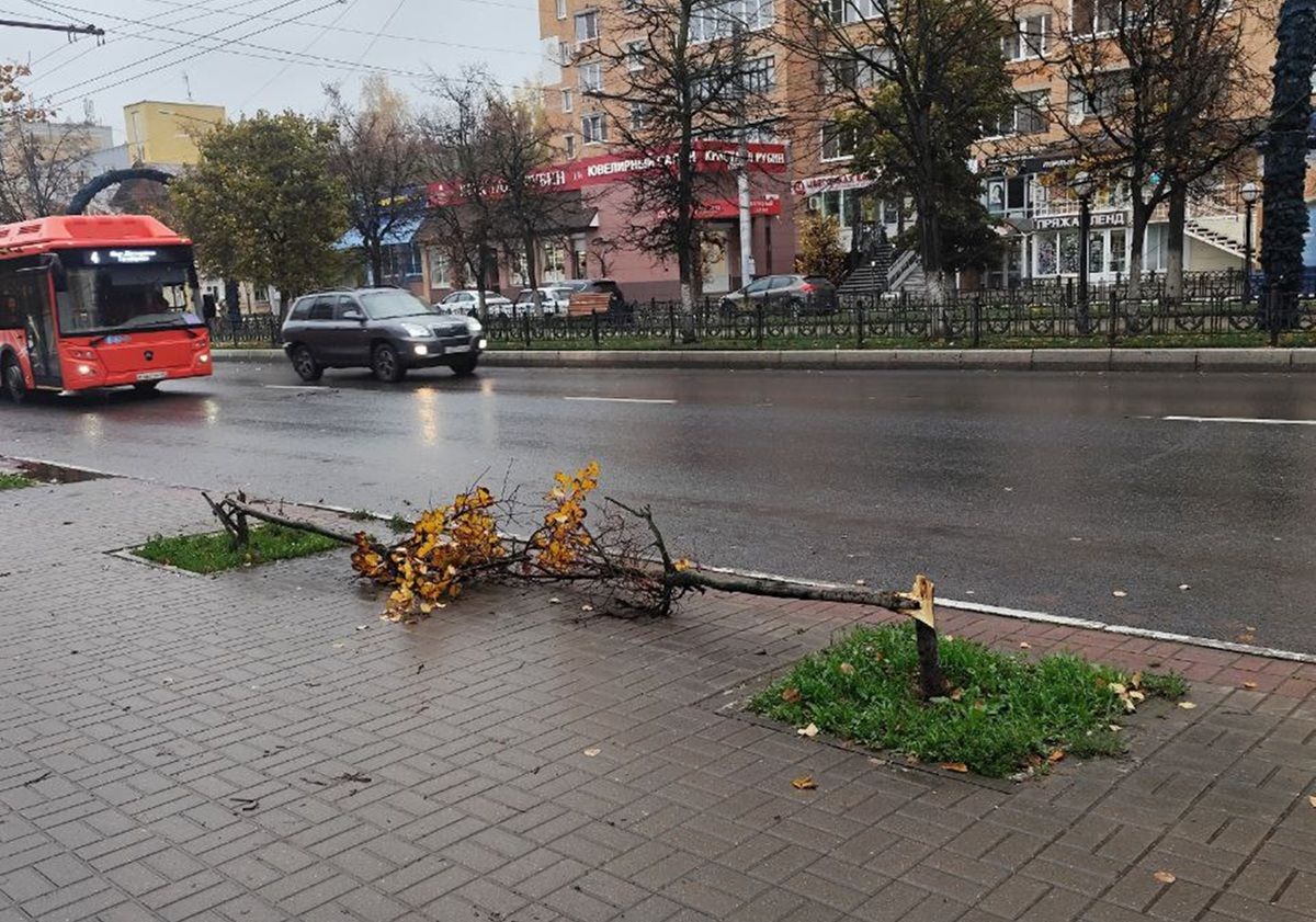 В центре Калуги вандалы сломали молодые деревья kaluganews ru fn 1741073 html Возмутительный акт вандализма произошел в самом сердце Калуги В минувшие выходные на улице Кирова были жестоко сломаны молодые деревья высаженные в рамках программы по озеленению города Прислать новость Подписаться