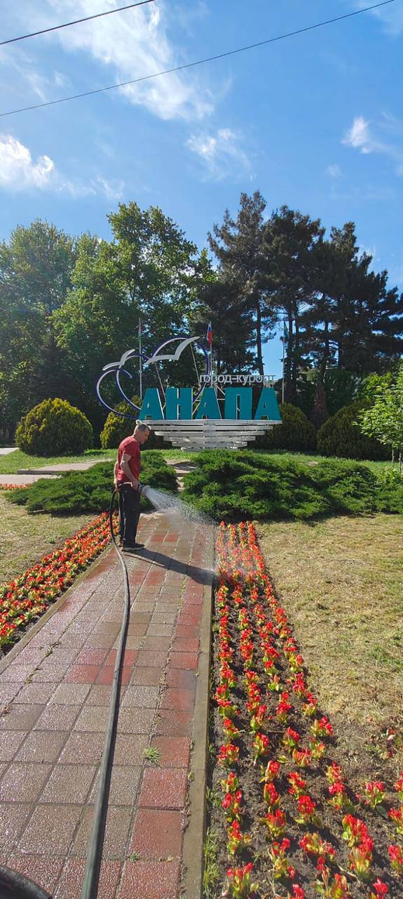 На анапских клумбах высадили еще 13 тысяч летних цветов Новые цветочные композиции появились в сквере им. П.С. Саркисьяна, на бульваре Евскина, в Сквере боевой славы, на братской могиле 45 советских воинов, на перекрёстке Крымской и Крестьянской. На клумбах высажены колеусы, сальвия, цинерария, бегония. Прогулка по цветущему городу — ещё один повод полюбить Анапу Фото Анапское Черноморье
