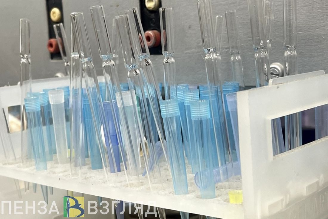 В 2025 году в Пензенской области зарегистрировали 89 новых случаев заражения ВИЧ За первые пять месяцев 2025 года в Пензенской области выявили 89 новых случаев ВИЧ. В 2024 году за тот же период зарегистрировали 108 случаев заболевания. Показатель заболеваемости в 2025 году составил 7,6 на каждые 100 тысяч жителей, тогда как в 2024 году он держался на уровне 9,1. За январь-май 2025 года уровень заболеваемости снизился на 17,6%, сообщается в телеграм-канале организации. -Взгляд