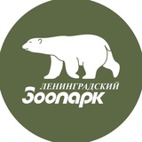 Ленинградский зоопарк