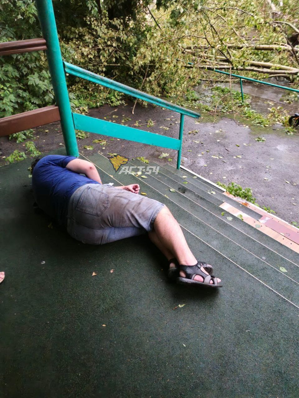 Дерево упало на мужчину во время урагана   Любить   Новосибирск