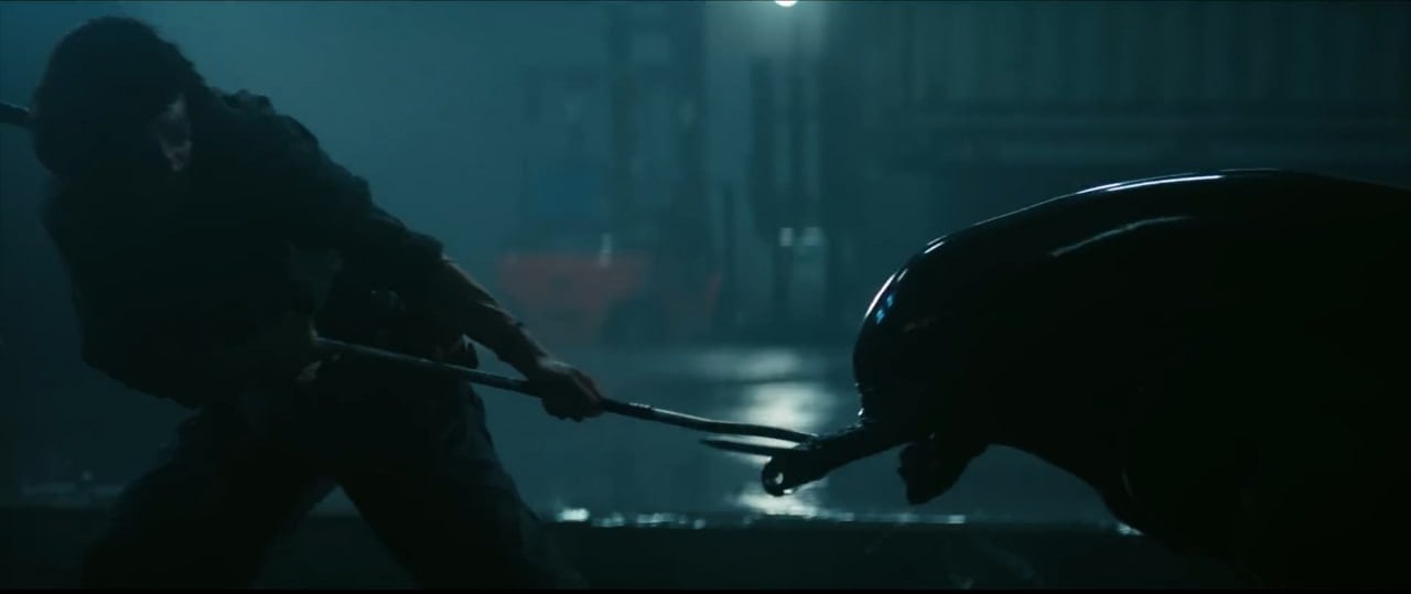 Ксеноморфы захватили канал: смотрим новые кадры из трейлера первого сериала по «Чужому»    Действие «Чужой: Земля» происходит за два года до событий первого фильма Ридли Скотта. На Земле терпит крушение космический корабль, принесший с собой кое-что ужасное.  Сериал стартует на Hulu 12 августа.    Кинопоиск   Фильмы и сериалы