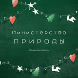 Аватар Телеграм канала: Минлесхоз Самарской области