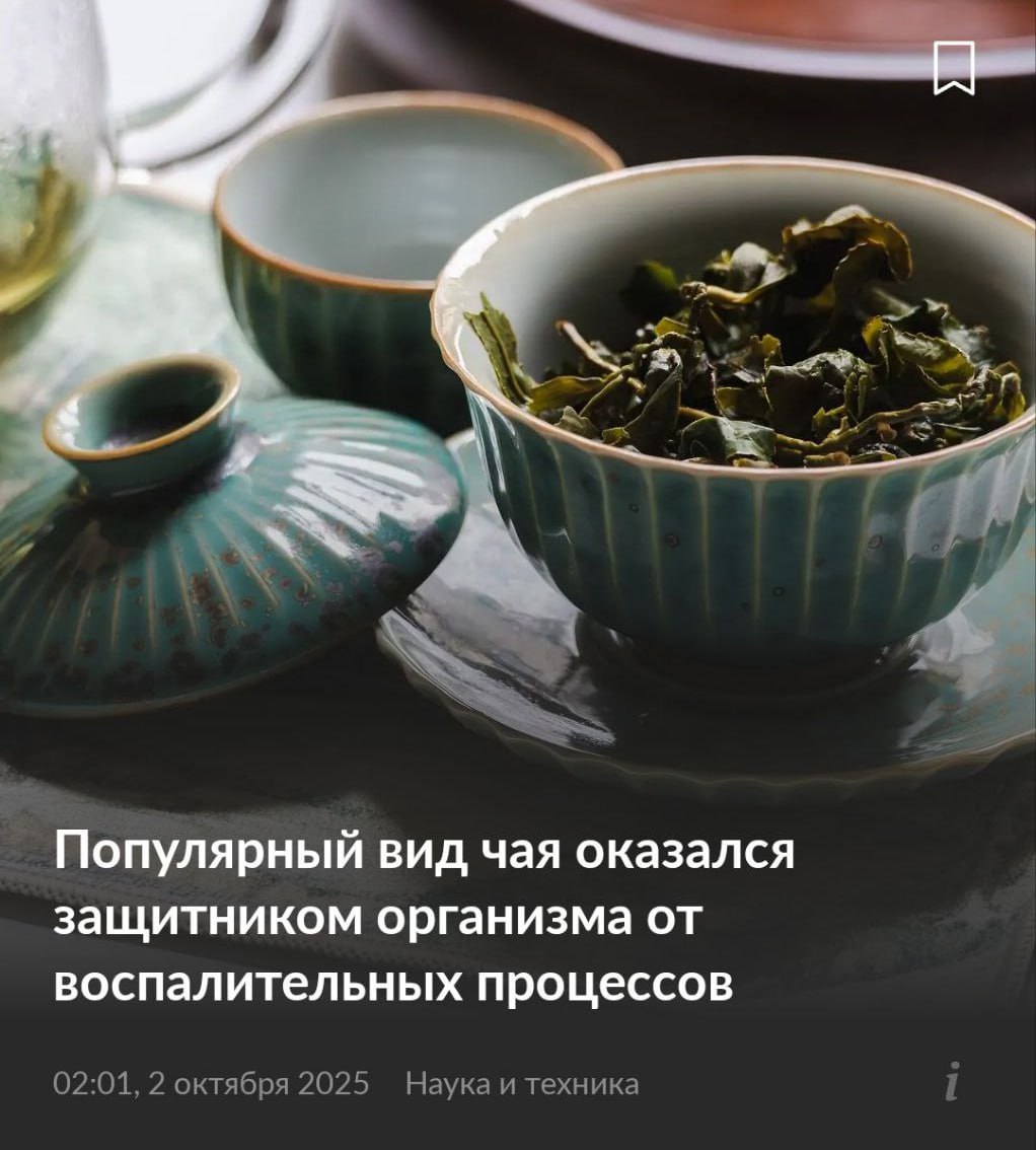 Чай улун доказал мощную защиту организма он предотвращает артрит диабет и даже болезнь Альцгеймера на клеточном уровне показало официальное исследование тайваньских биохимиков Экстракт улуна блокирует NLRP3 инфламмасому белок запускающий разрушительные процессы в теле Листья чая подавляют опухоли снижают риск их некроза и уменьшают уровень токсичных частиц которые разрушают клетки и ускоряют старение Фактически улун работает как ибупрофен но без вреда для желудка останавливая воспаление прямо в клетках 1337