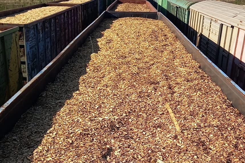 Калужская область импортировала 185 тысяч кубометров белорусской щепы С начала этого года специалистами Россельхознадзора было досмотрено более 185 тысяч кубометров щепы хвойных пород деревьев и более 11 тысяч кубов лесоматериалов ввезенных в Калужскую область из Белоруссии Импортером было крупное деревоперерабатывающее предприятие Калужской области Эти материалы предприятие использует для изготовления древесно стружечных плит фанеры и других изделий Как сообщает пресс служба Россельхознадзора по сравнению с аналогичным периодом прошлого года объем поставок увеличился