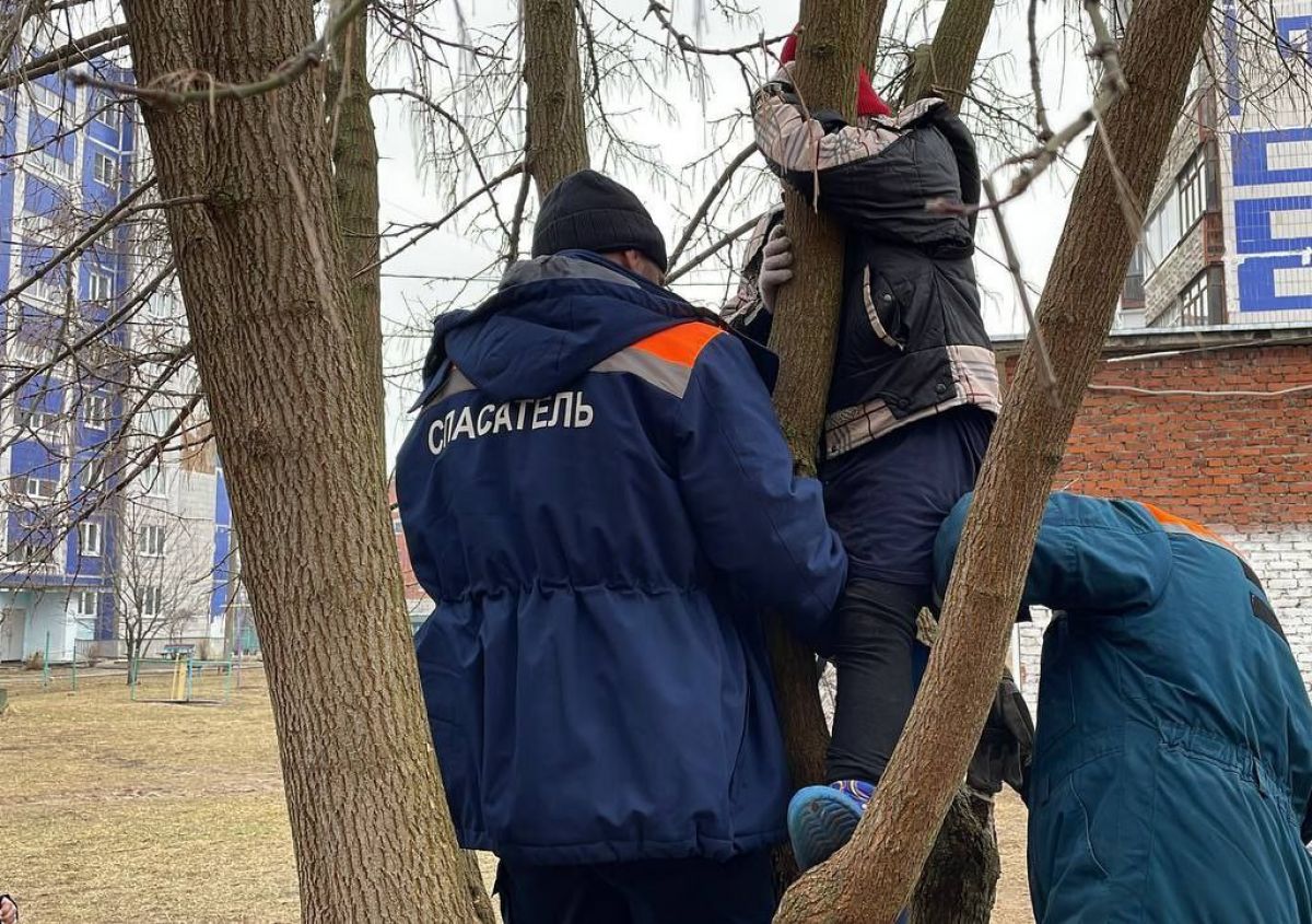 Во Владимирской области спасатели помогли застрявшему на дереве ребенку    13 марта в Коврове ребенок застрял на дереве: у девочки зажало ногу между стволами. Оказывать помощь ребенку пришлось спасателям.  ↗  Прислать новость   Подписаться