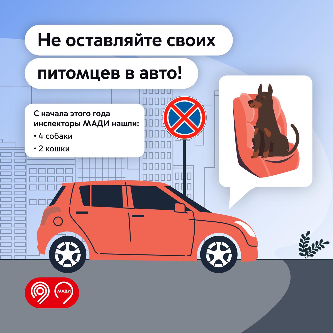 6 животных обнаружили инспекторы МАДИ в неправильно припаркованных авто. Оставлять питомцев одних в машине очень опасно, особенно летом: Если питомцу станет плохо от жары, ему могут не успеть помочь вовремя. Животные часто прячутся от палящего солнца под сиденьем. Поэтому инспектор МАДИ может не заметить их во время эвакуации авто за неправильную парковку и увезти на спецстоянку вместе с машиной. За 5 месяцев с начала года инспекторы МАДИ обнаружили при эвакуации авто 4 собак и 2 кошек. Все нарушители правил парковки получили штраф 4,5 тыс. руб. «Мы призываем водителей заботиться о своих животных и не оставлять их одних в автомобилях, особенно если транспортное средство припарковано неправильно. Это может угрожать безопасности всех участников дорожного движения и вашему питомцу», — отметил Максим Ликсутов. Дептранс Москвы