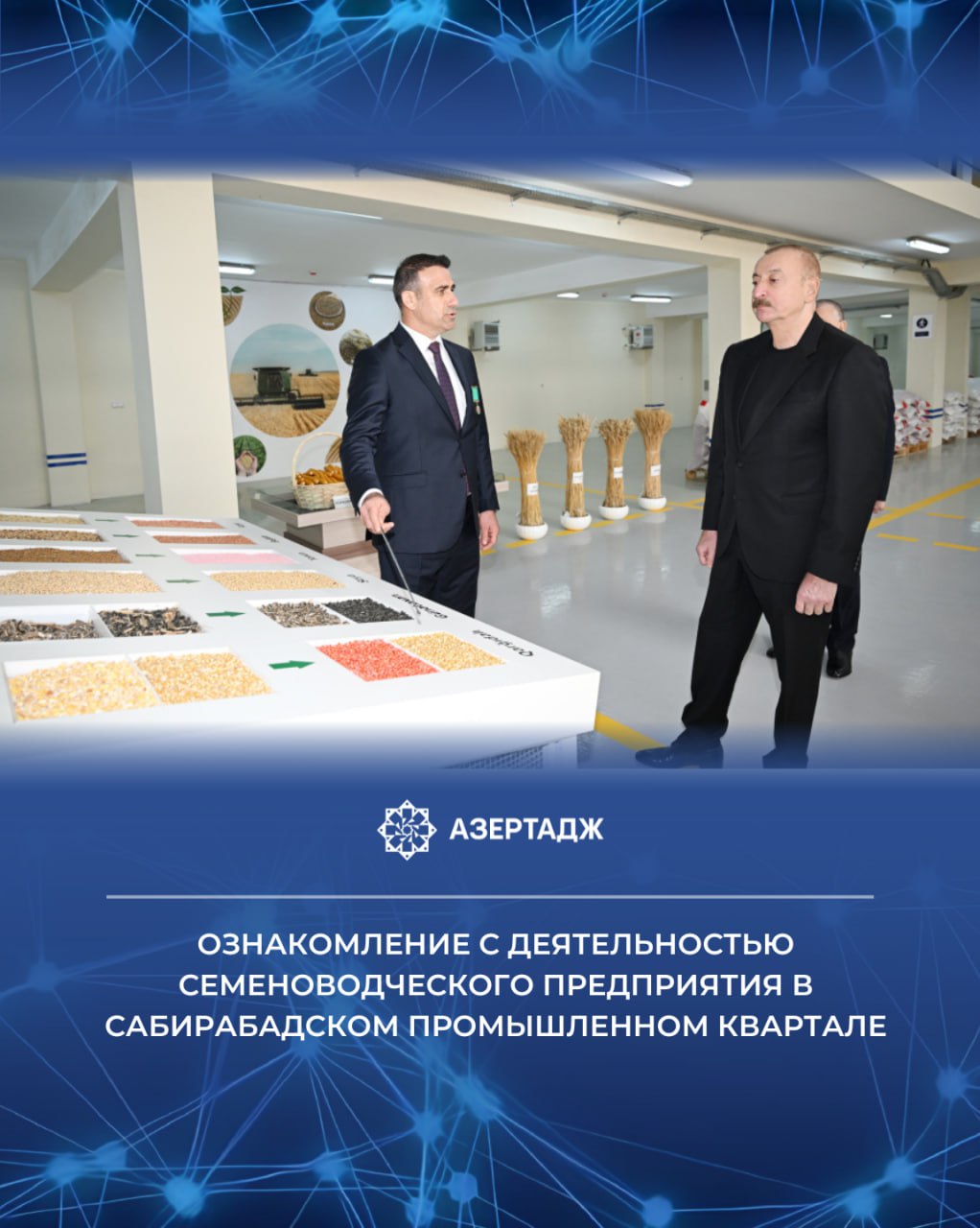 28 октября Президент Азербайджанской Республики Ильхам Алиев ознакомился с деятельностью семеноводческого предприятия Общества с ограниченной ответственностью ООО Azera Toxumçuluq в Сабирабадском промышленном квартале ilhamaliyev ильхамалиев presidentaz официальнаяхроника сабирабад азербайджан азертадж azertac новости aztagram instaaz azertag bakunews