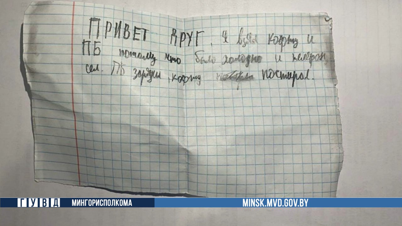 #оперативно «Пауэрбэнк зарядил, кофту постирал». Минчанин похитил чужие вещи, а потом испугался и вернул их на место – но это не убережёт его от ответственности за воровство В Партизанское РУВД обратился работник предприятия, который оставил вещи в служебном гардеробе, а после окончания смены не обнаружил зарядного устройство, наушников и джемпера. Самостоятельные поиски не принесли результата, и мужчина обратился в милицию. Однако совсем скоро заявитель связался с оперативниками: в своем шкафу на прежнем месте он обнаружил не только украденные вещи, но и... бумажную записку, написанную от руки. Сотрудники ОУР установили, что чужие вещи забрал и вернул 19-летний учащийся, который проходил практику на заводе. Молодой человек признался: когда узнал о том, что милиция ведет поиски злоумышленника, то испугался и решил положить похищенное на место. Однако это не помогло ему уйти от ответственности. В отношении молодого минчанина возбуждено уголовное дело за кражу.