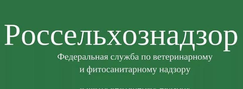 Россельхознадзор разъясняет порядок оборота кормов для животных, относящихся к продукции химического и биологического синтеза, с предприятий, осуществляющих производство, переработку, транспортировку такой продукции в границах Таможенного союза  Письмо Россельхознадзора от 13.01.2025 N ФС-КС-2/192 «Об особенностях ввоза, перемещения  перевозки  и использования отдельных ветеринарных лекарственных препаратов и кормовых добавок для применения в ветеринарии»