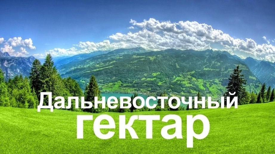 Более 14,5 тысячи человек стали гектарщиками в Хабаровском крае Жители продолжают регистрировать права собственности и получать дополнительные участки. Власти предоставляют различные меры поддержки. Предусмотрена краевая субсидия на возмещение затрат на приобретение и монтаж некапитальных средств размещения, кемпингов и гостиниц. Фермеры могут получить субсидии на содержание скота, оленеводство, пчеловодство и гранты на развитие ферм. Также доступны льготные займы для приоритетных отраслей. Для строительства жилья можно воспользоваться программой «Дальневосточная ипотека» со ставкой 2% годовых и социальной субсидией до 70% стоимости жилья. Для оформления гектара в собственность нужно зайти на сайт «НаДальнийВосток.РФ» и прикрепить необходимые документы. Вопросы можно задать по горячей линии КРДВ: 8-800-200-32-51.