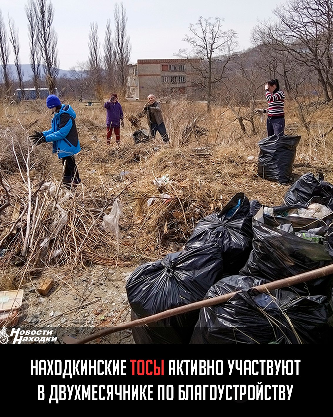 В Находке проходит двухмесячник по благоустройству, в котором активное участие принимают территориальные общественные самоуправления. Жители разных микрорайонов объединяются, чтобы сделать город чище и уютнее. ТОС «Пограничная 40» привел в порядок двор, убрав мусор и побелив бордюры. Активисты «Девятого дома» прочистили ливневые лотки, а новички из ТОС «Арсеньева 19» не только убрали территорию, но и занялись покраской и высадкой растений. Особое внимание озеленению уделили в ТОС «БРИЗ», где высадили кустарники и многолетники.